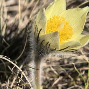 ����: ��������