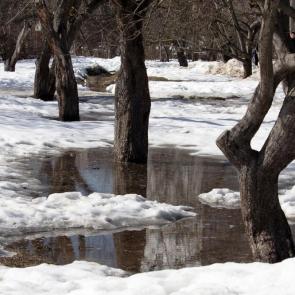 ����: �����. ������.