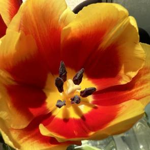 ���� ��������: ������� �� ������