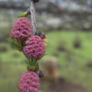 ����: ����� ������