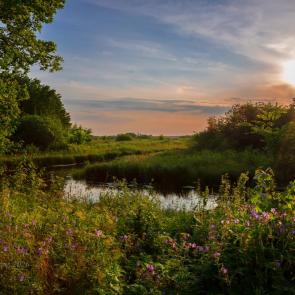 ���� ��������: �������� �������� ������