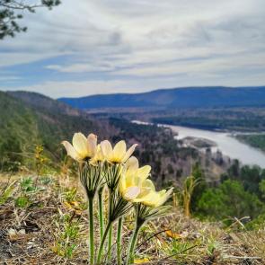 ����: ����������, �����!