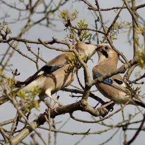 ����: ����� � �����