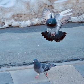 ����: �������� �����