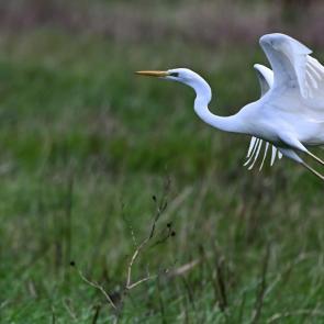 ����: �� ����� 