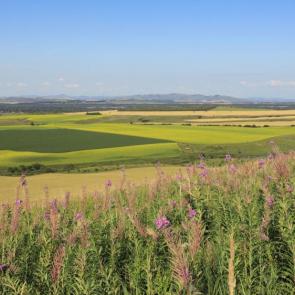 ����: �����...