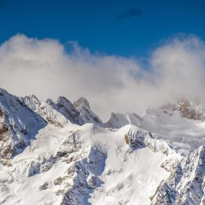 ����: ������