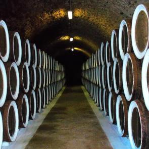 ����: ��������