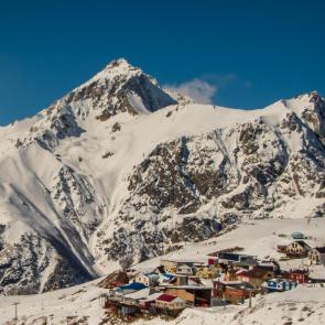 ����: ������