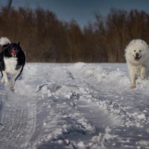 ����: ��� ������� 