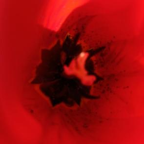 ����: �������. ������ �������