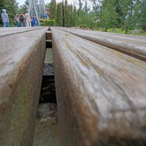 ���� ��������: ����