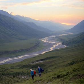 ����-����