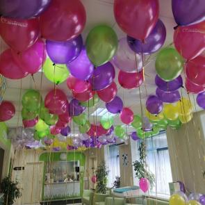 ����: ���� �������� �������