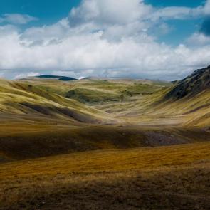 ���� ��������: ������ �. �������