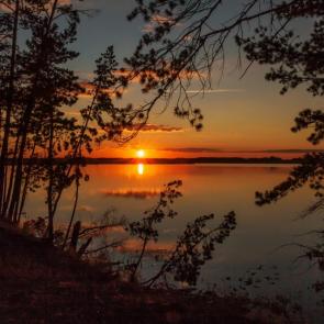 ���� ��������: 