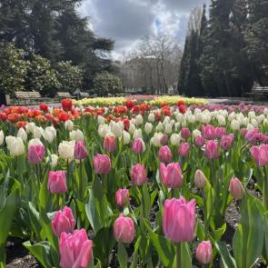 ���� ��������: ����� ������ �����