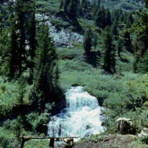 �� ������ � ��������� ����� ����� 11 ���