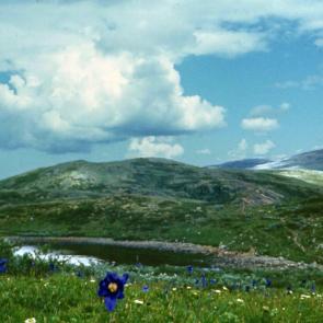 ����: ��������� �������