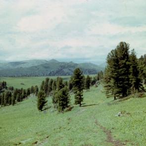 ����: � ���������� ��������