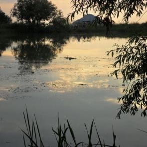 ���� ��������: �����������