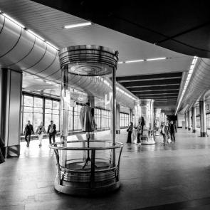 ����: ��������������