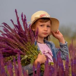 ����: ������