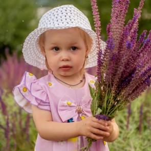 ����: ��������