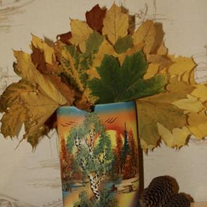 ���� ��������: 