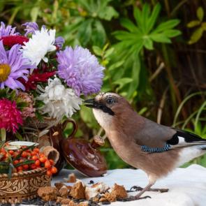 ���� ��������: ����� 