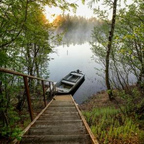 ����: ������ ����