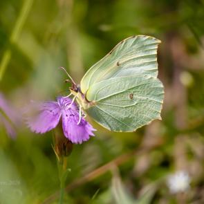 ����: ���������� �� ������