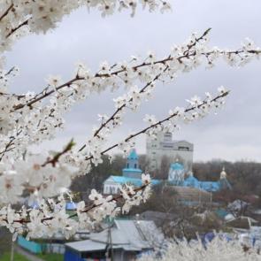 ����: ��� ����� �������������� �������