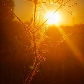 ����: �� ������