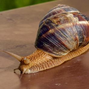 ����: ������ �������