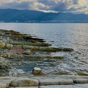 ����: ����� �����