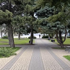 ����: ������ ����� ����� 