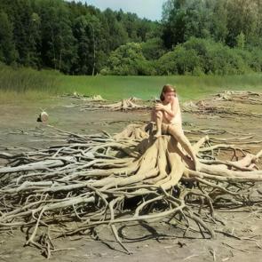 ����: ���������