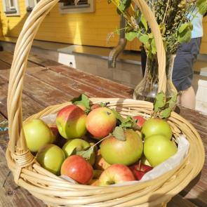 ����: ����������� �������