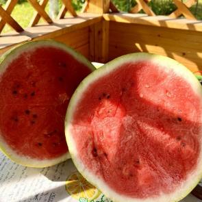 ����: ����� ����