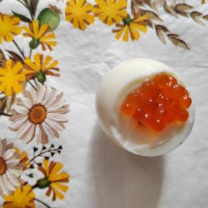 ���� ��������: ������� ���������