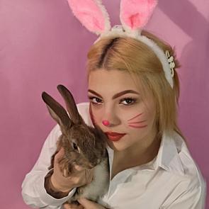 ����: 
