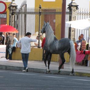 ����: �� ����� � �������