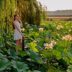 ����: ��������� � �������