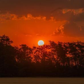 ���� ��������: ����� �������