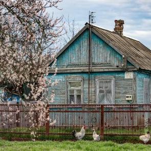 ���� ��������: ����� �� ����� ����