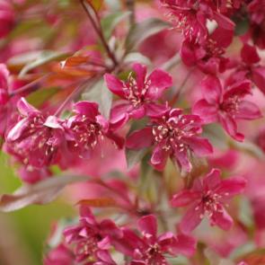 ����: �������� ������������ ������