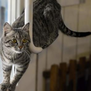 ����: �������� �����