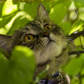 ����: ����� ����� ������