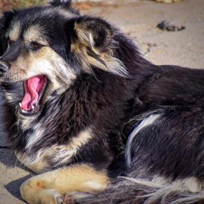 ����: ��������� ���